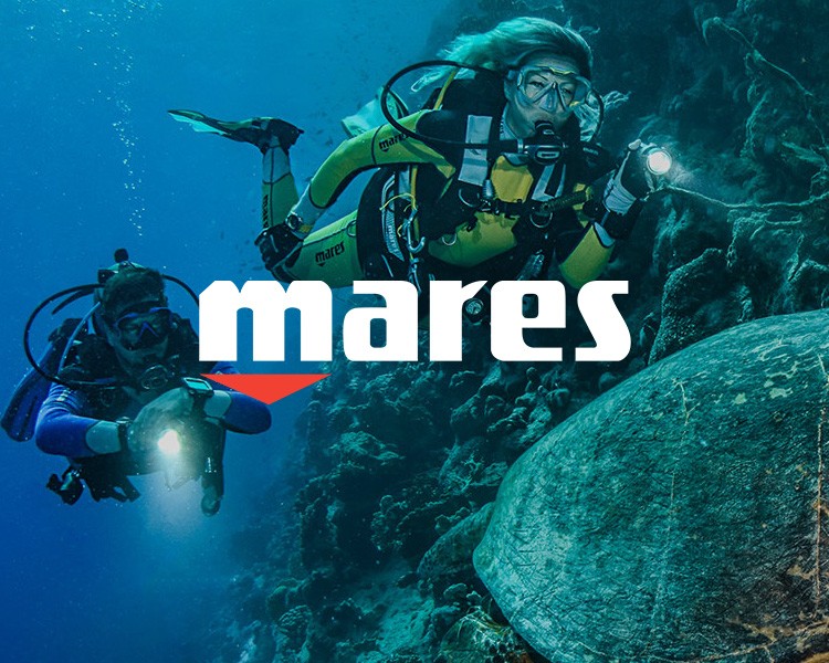 MARES BUCEO